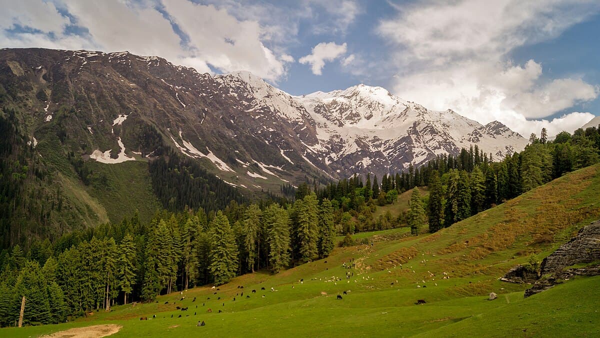 Great Himalayan National Park - UNESCO World Heritage site