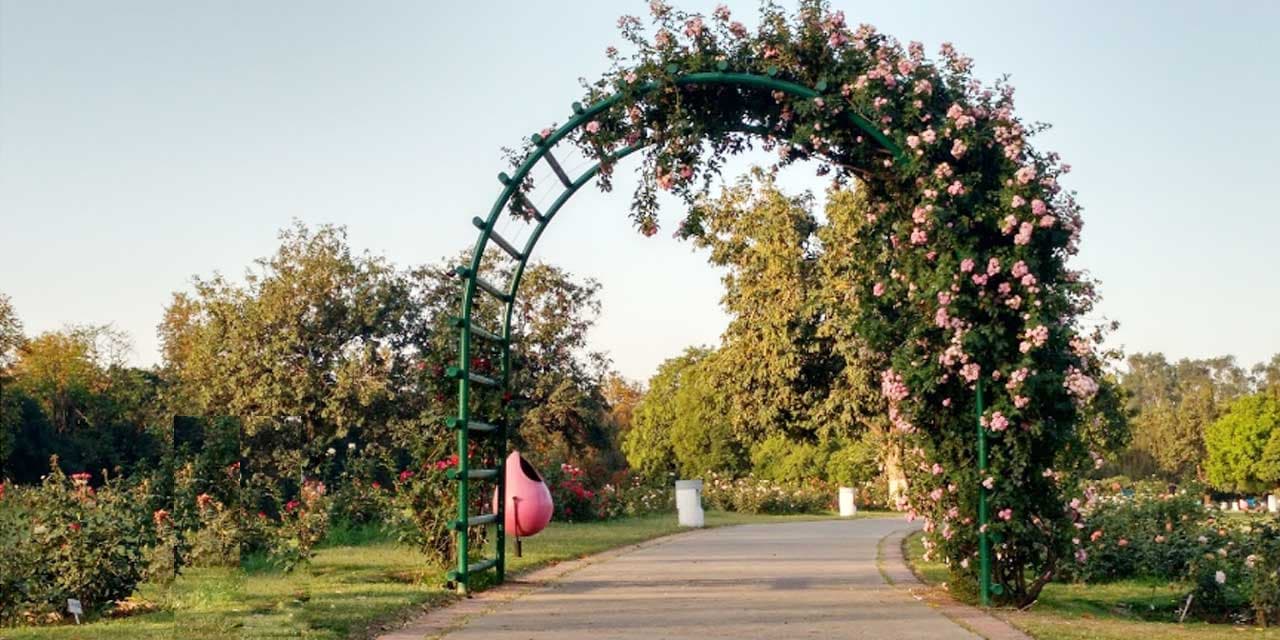 Chandigarh's Gardens Next Door