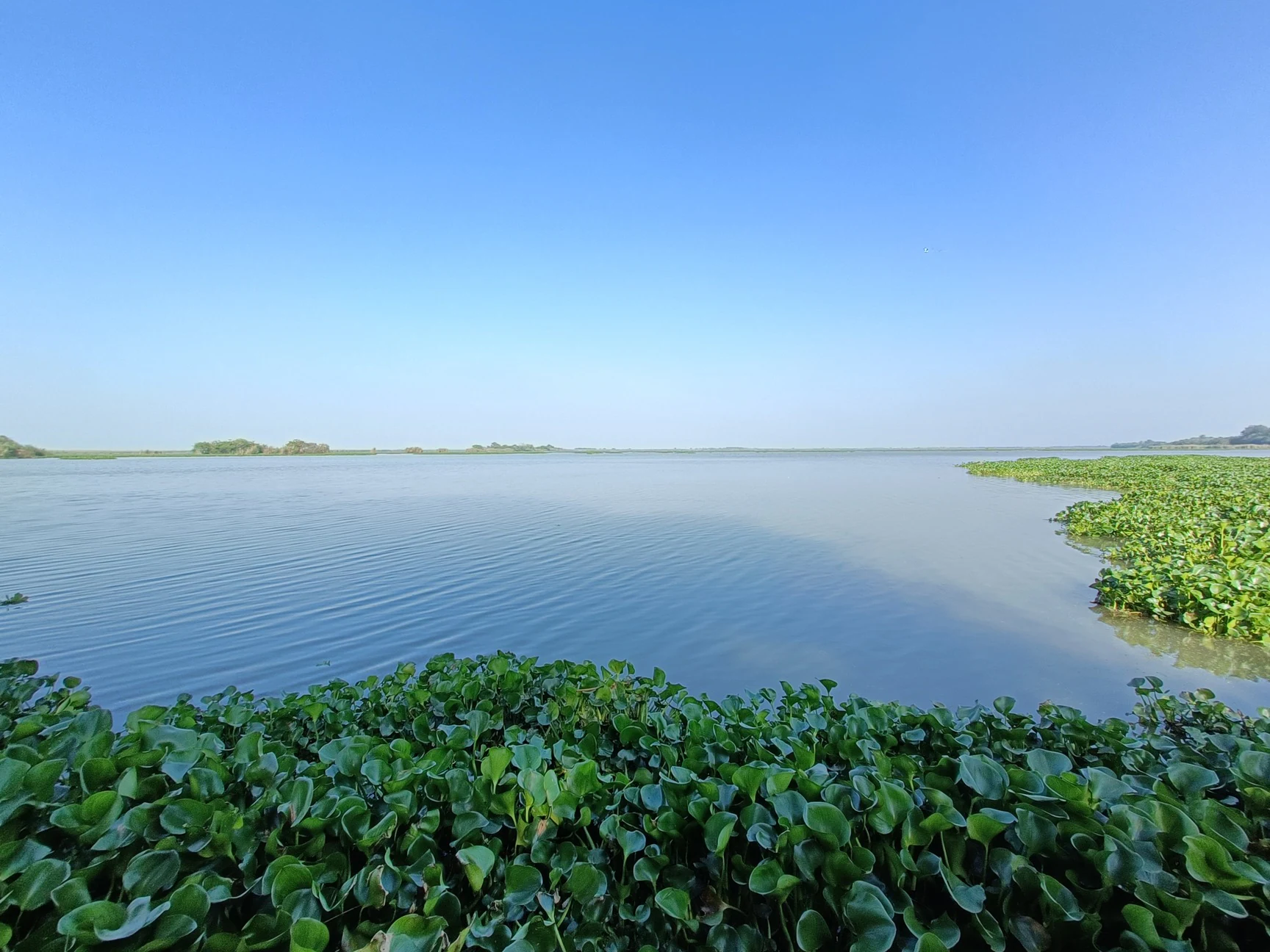 Mohali