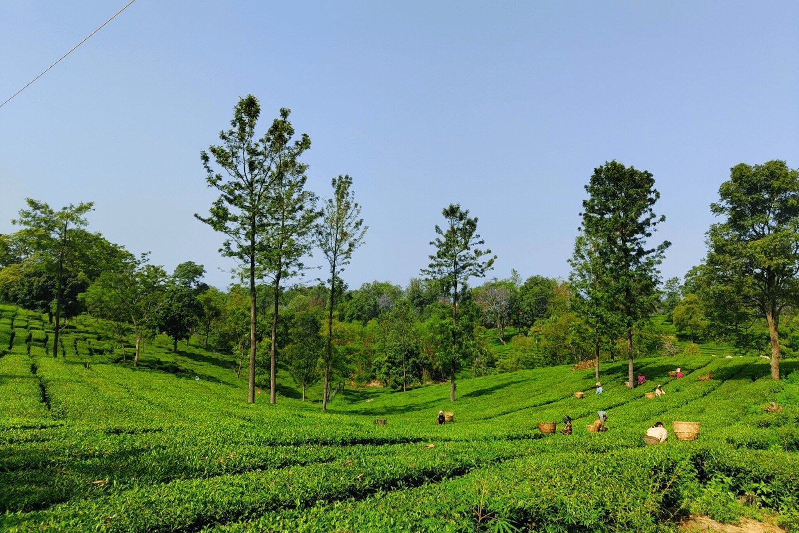 Dharamshala